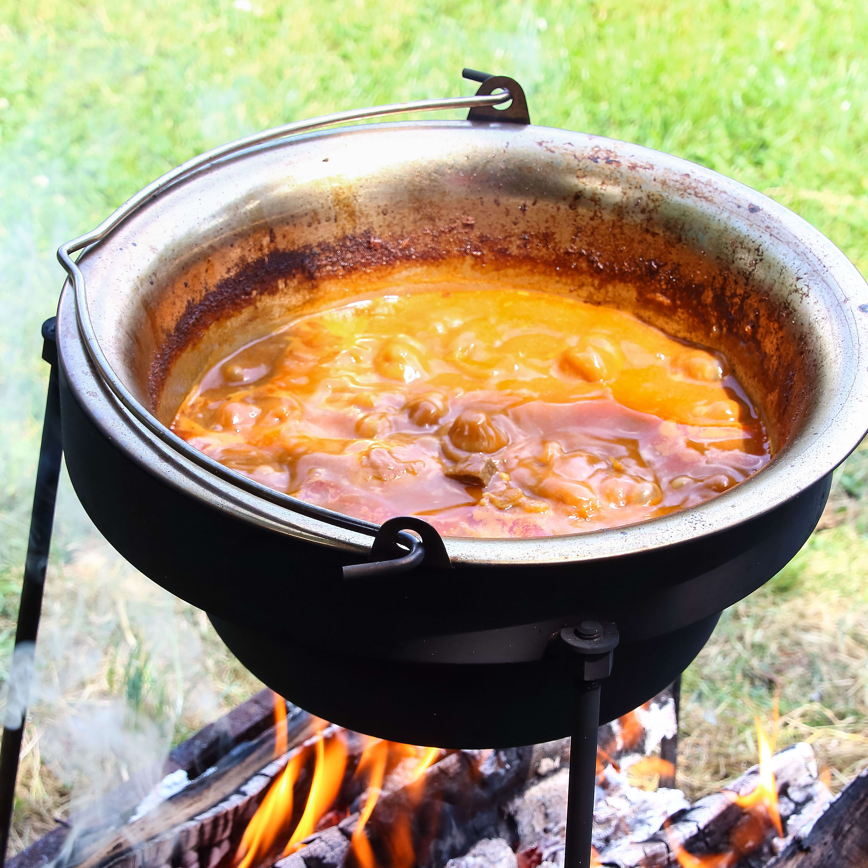 Easy Campfire Dutch Oven Beef Stew - Frugal Camping Family