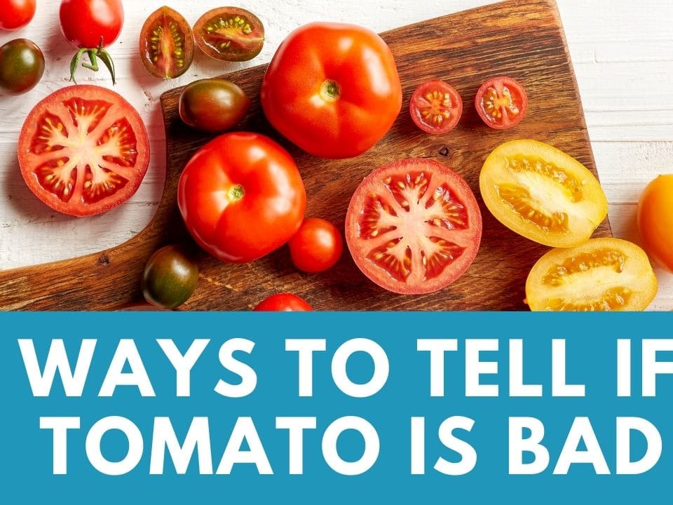 Easy Ways To Tell If A Tomato Is Bad 2024 Atonce