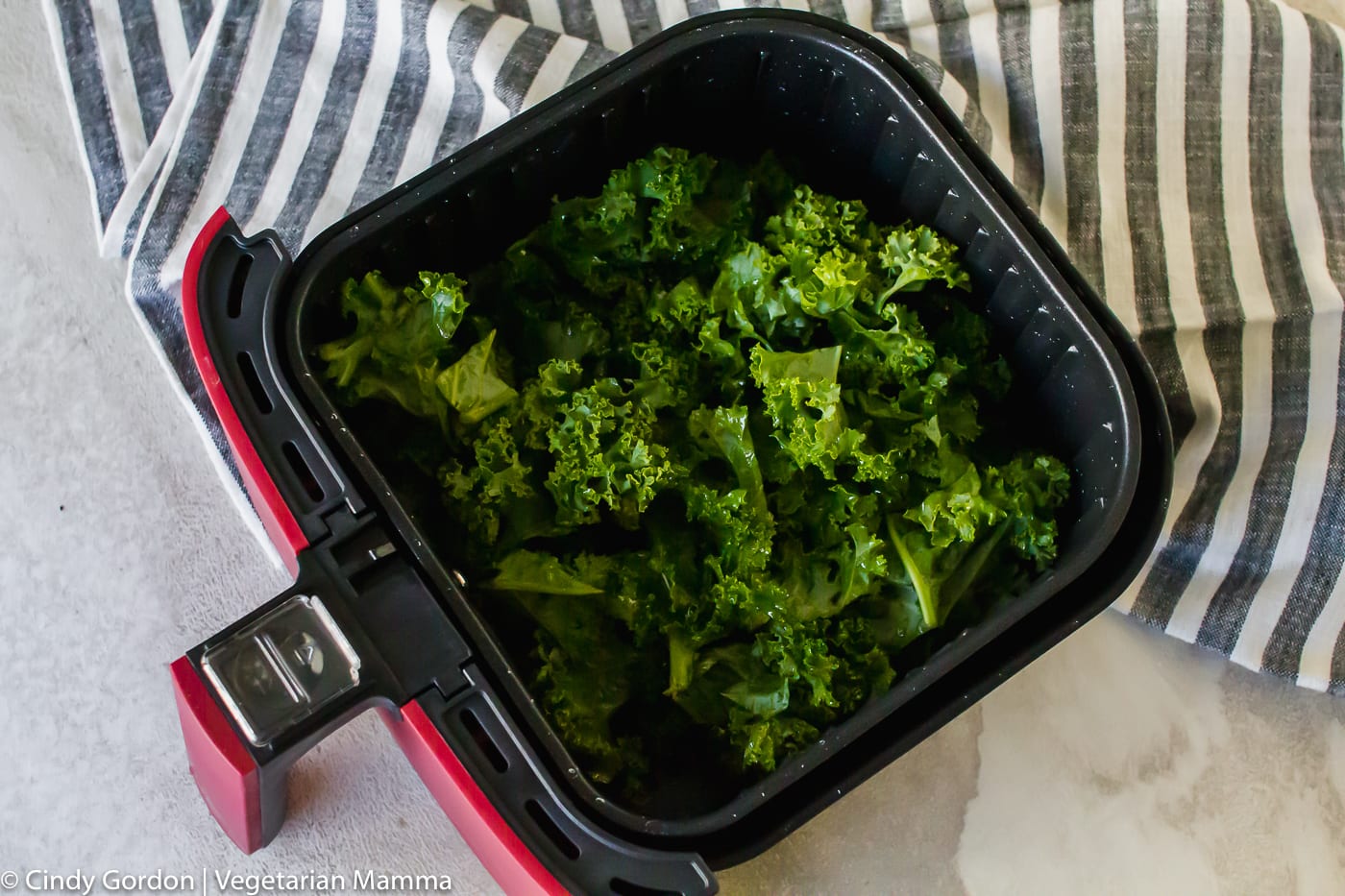 Air Fryer Kale Chips - Vegetarian Mamma