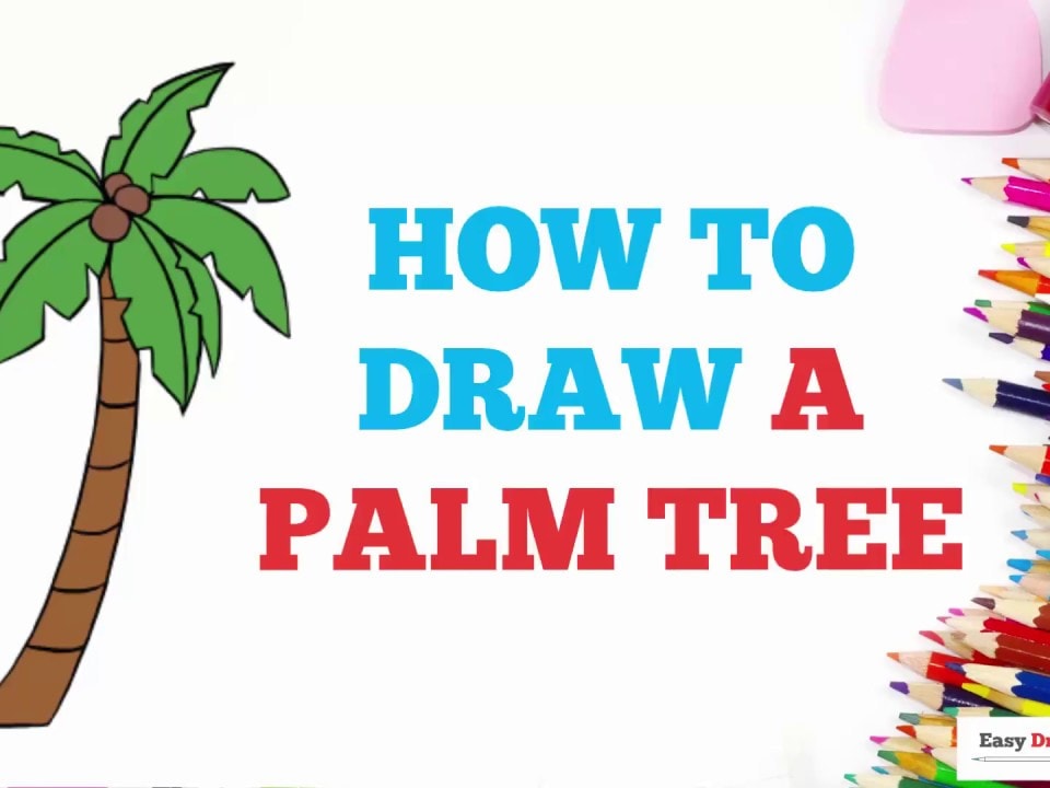 How to draw palm tree step by step for Beginners - YouTube