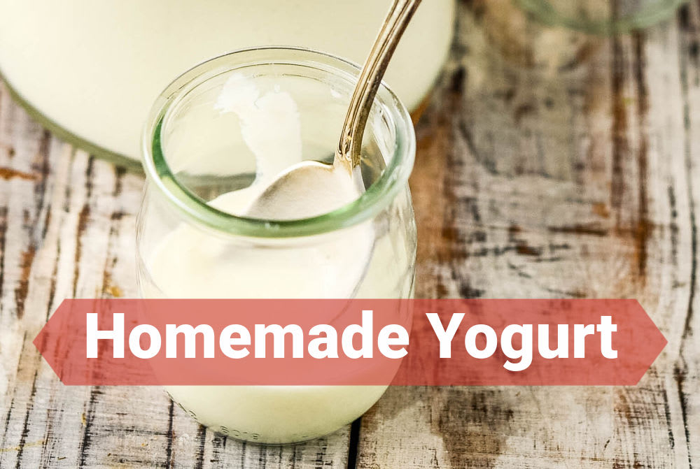 Super Easy Homemade Yogurt (+ video) - Larder Love