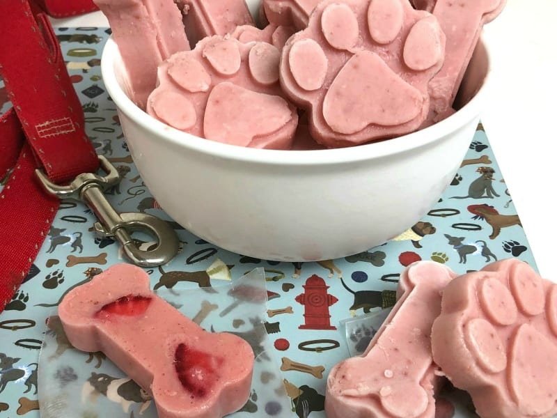 Easy Homemade Frozen Dog Treats - Pupsicle Starter Kit - Cooper's Treats