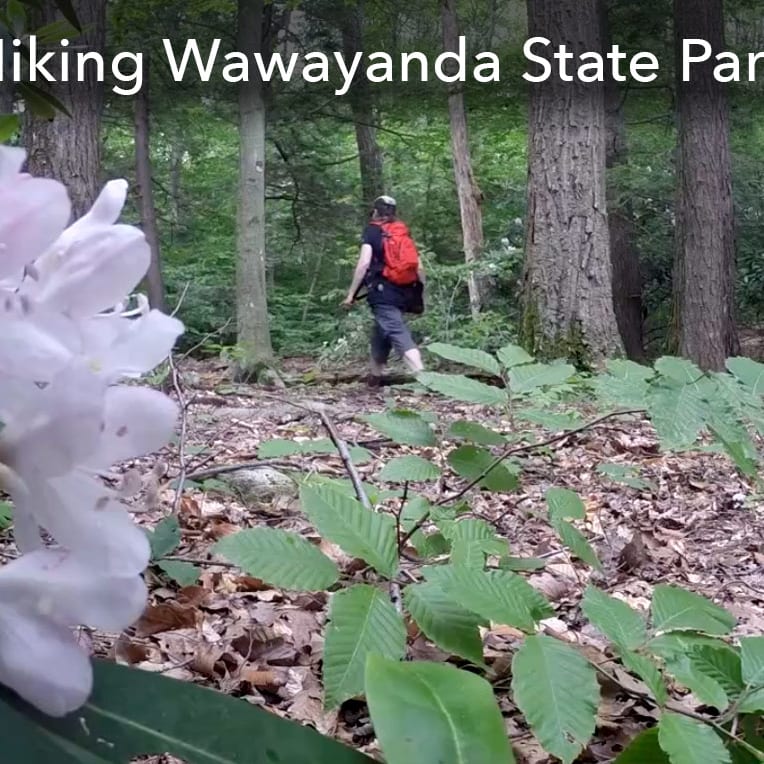Wawayanda state park hiking clearance