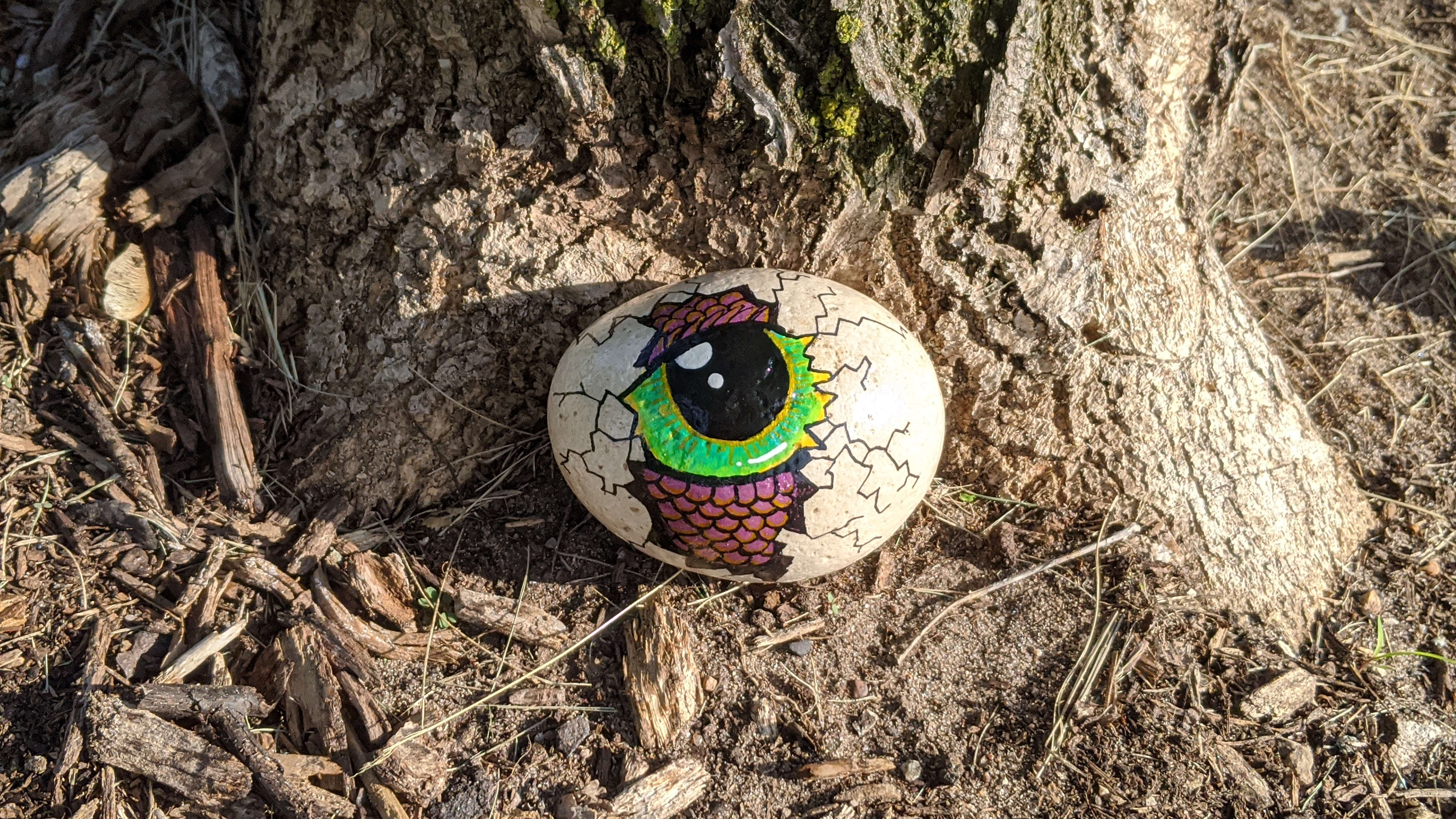 Cat in a Puffer Jacket Painted Rock SEALED Painted Rocks -  in