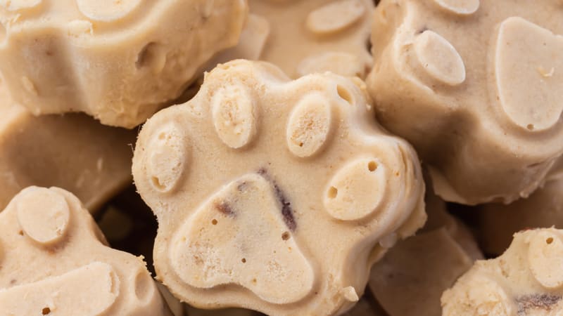 Dog Ice Cream
