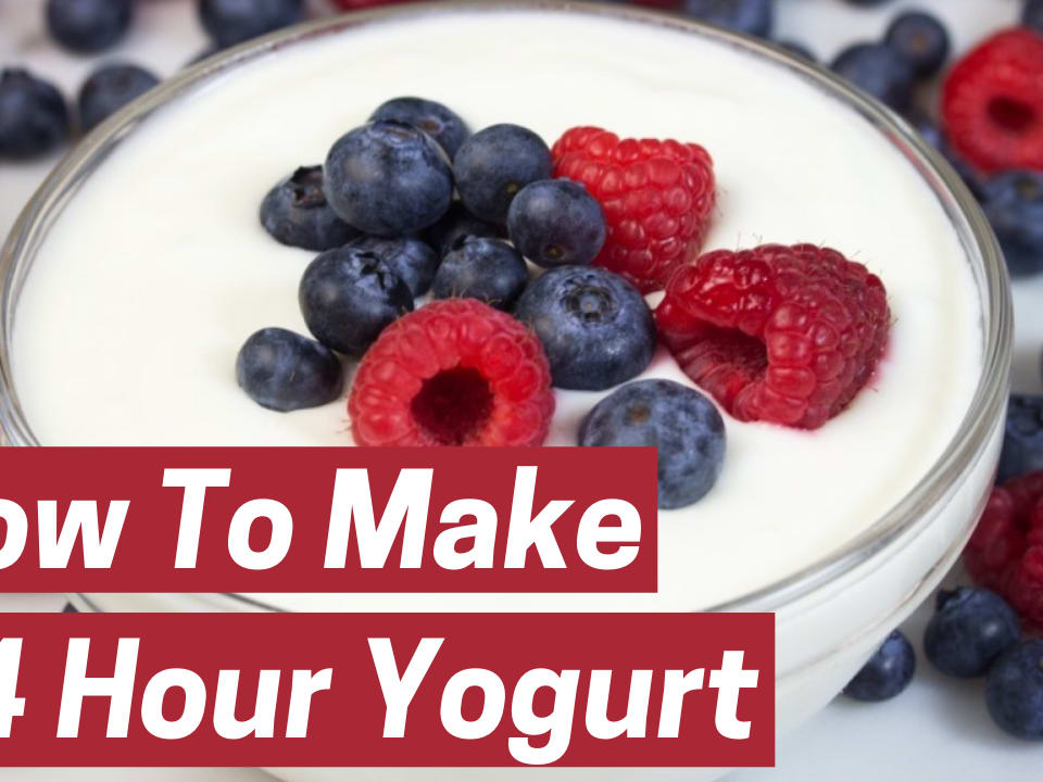 Homemade low-fat and skim milk yogurt recipe - Luvele AU