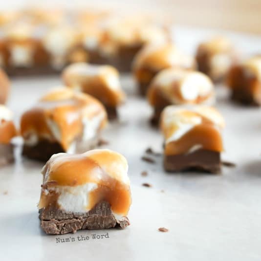 Scotchmallow sales