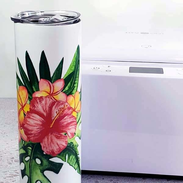 HTVRONT 4 Pack Sublimation Blanks Tumblers 20 OZ Skinny Stainless Steel  Mugs with Box, Paper and Straw 