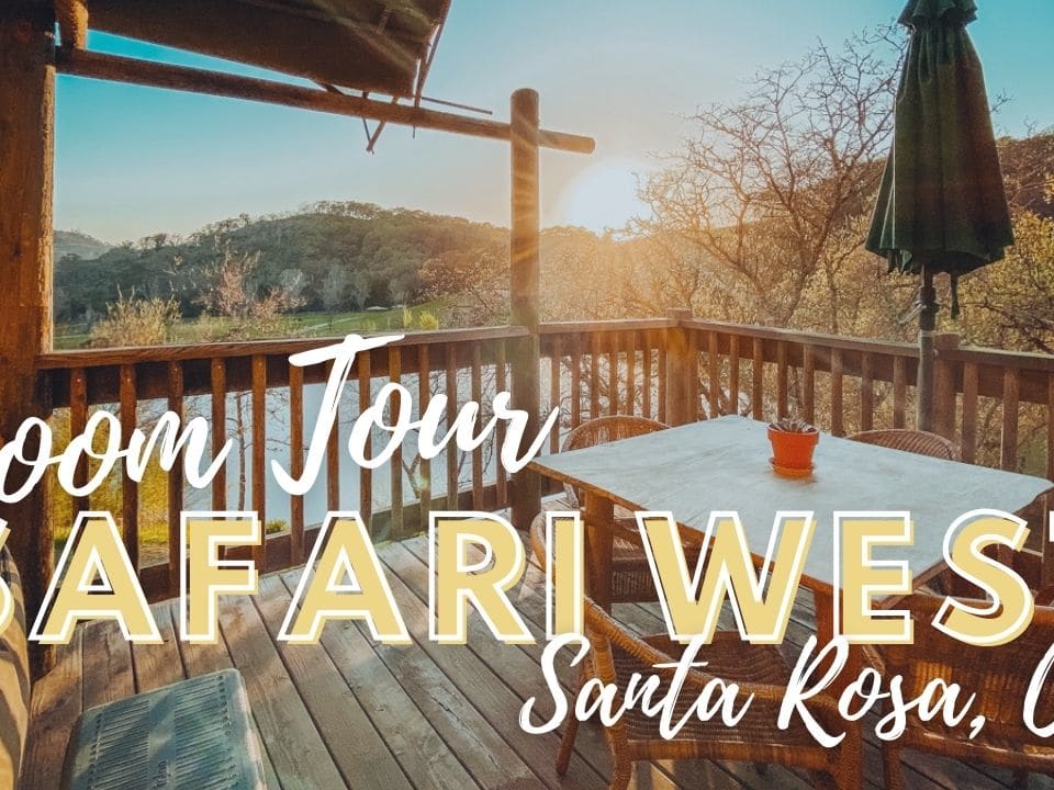 SAFARI WEST (Santa Rosa): Ce qu'il faut savoir pour votre visite