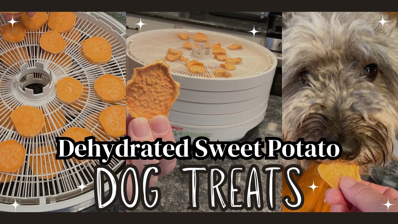 Dehydrated Sweet Potato Dog Treats Sparkles to Sprinkles