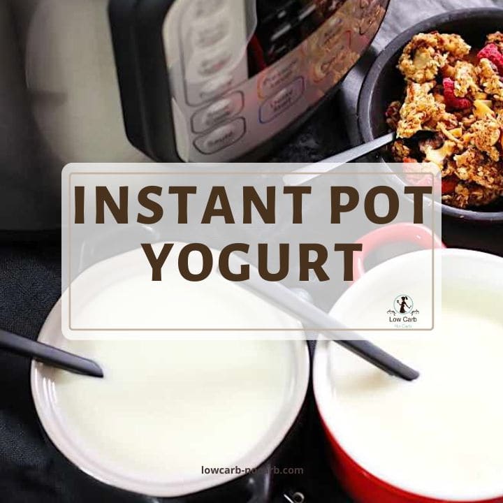 Homemade Instant Pot Greek Yogurt