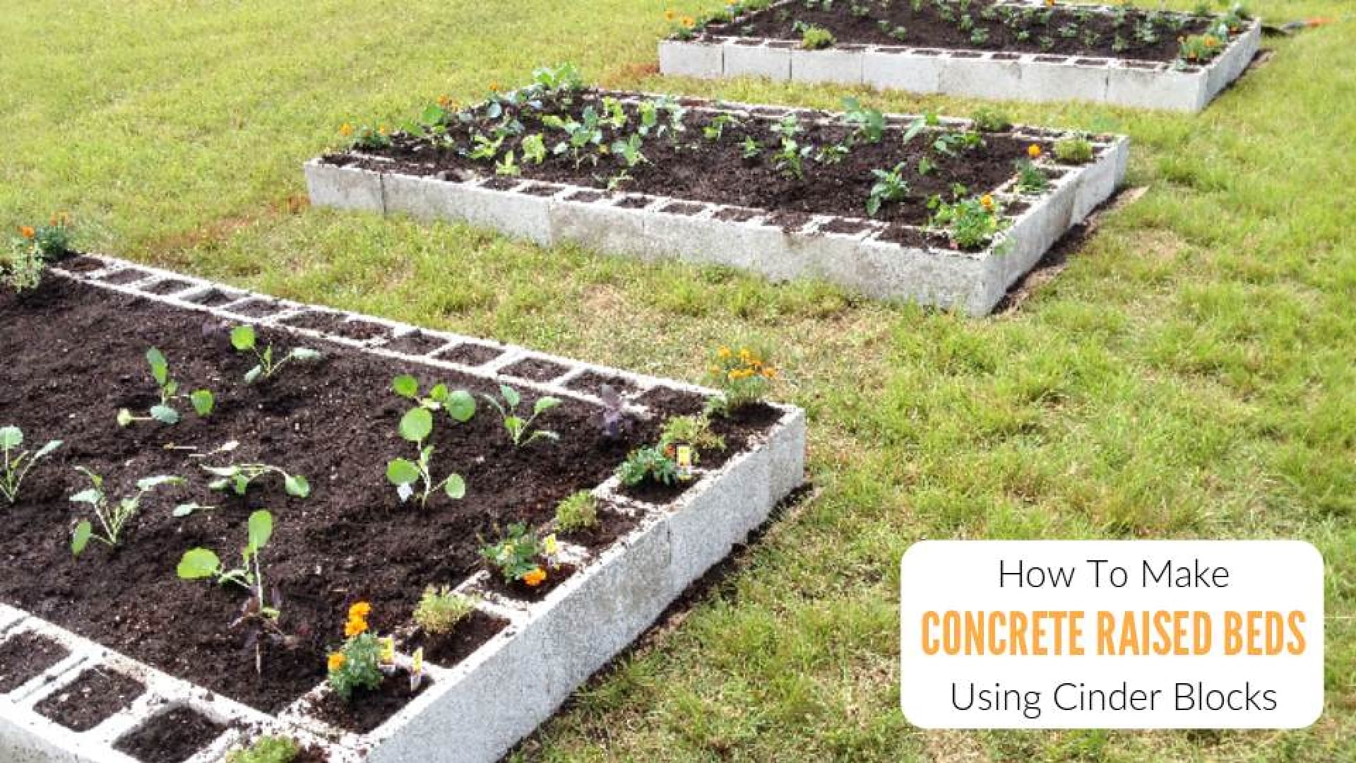 How To Make A Raised Garden Bed Using Concrete Blocks Step-By-Step