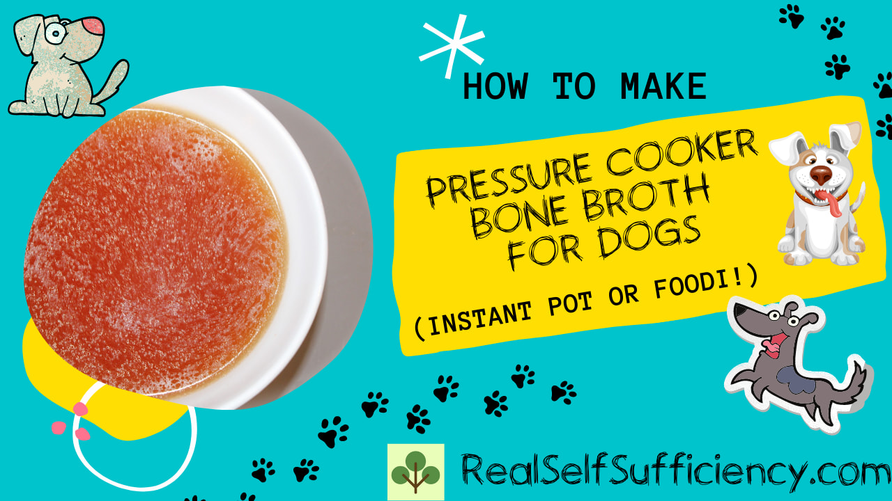 EASY Instant Pot Bone Broth for Dogs Recipe