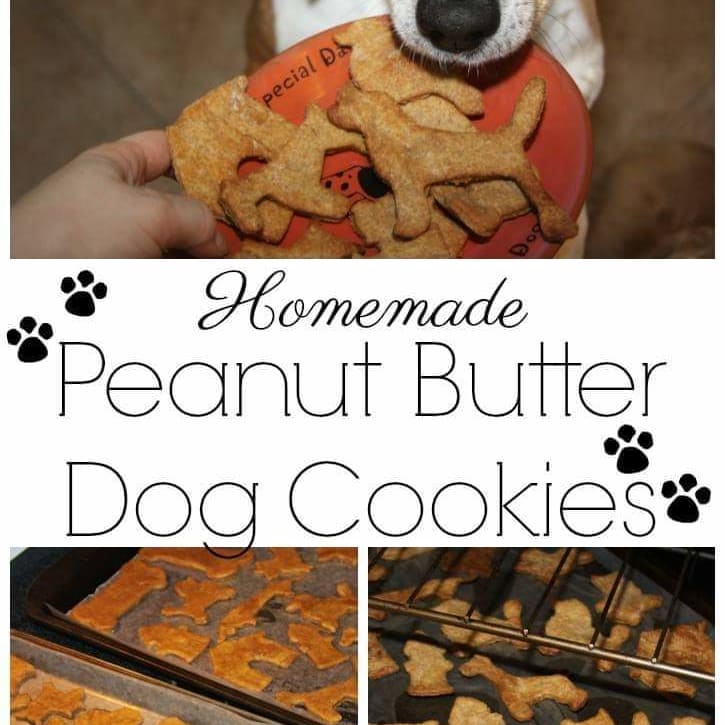 Homemade Peanut Butter Dog Cookies