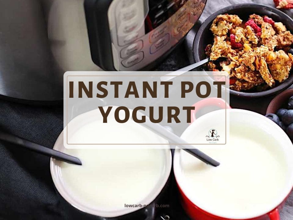 Kettle Cooker- Make Yogurt, breakfast, tea, yogurt, kitchen