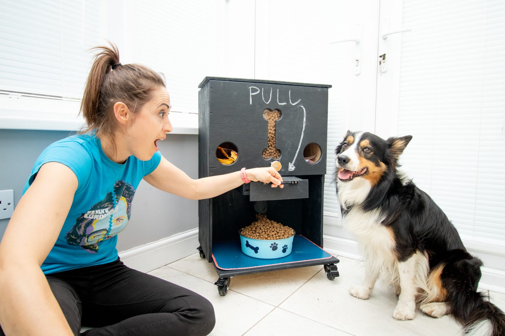 Pet food sale hopper