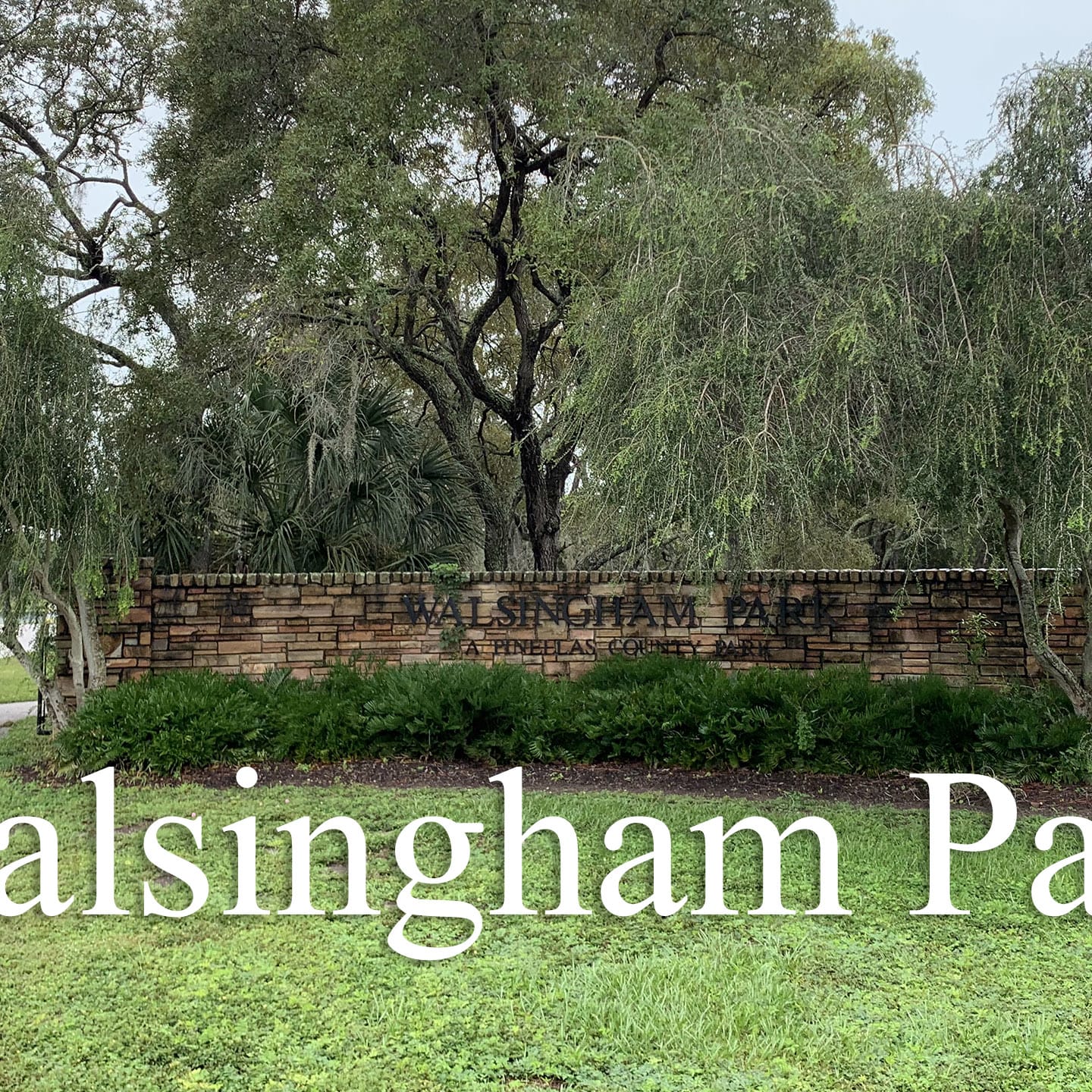 Walsingham park mountain biking cheap