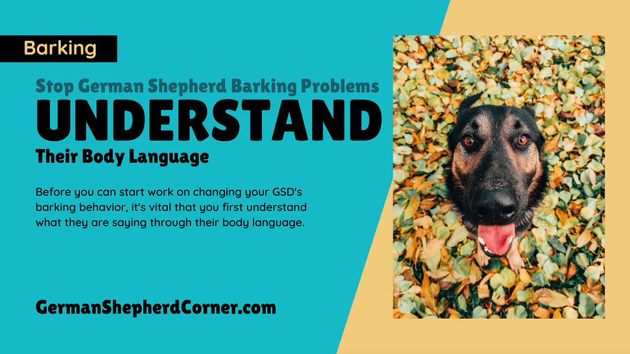 Stop german shepherd shop barking