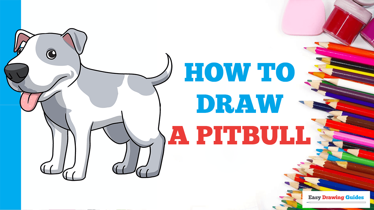 How to Draw a Pitbull - Really Easy Drawing Tutorial