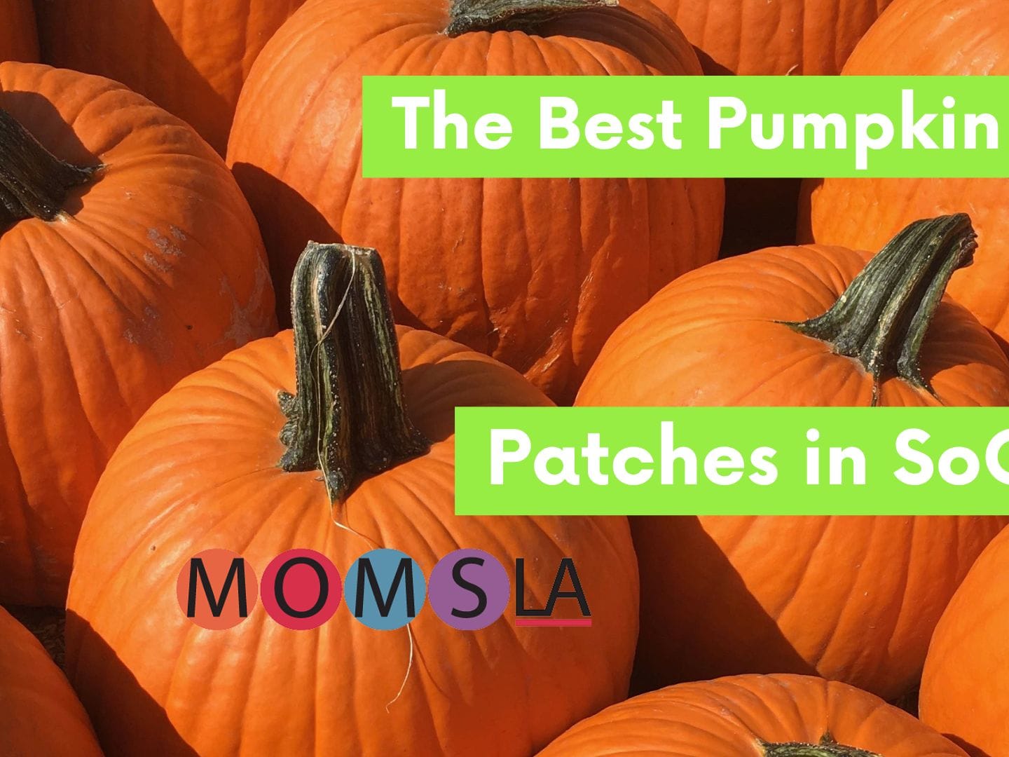 24 Fun Pumpkin Patches in Los Angeles