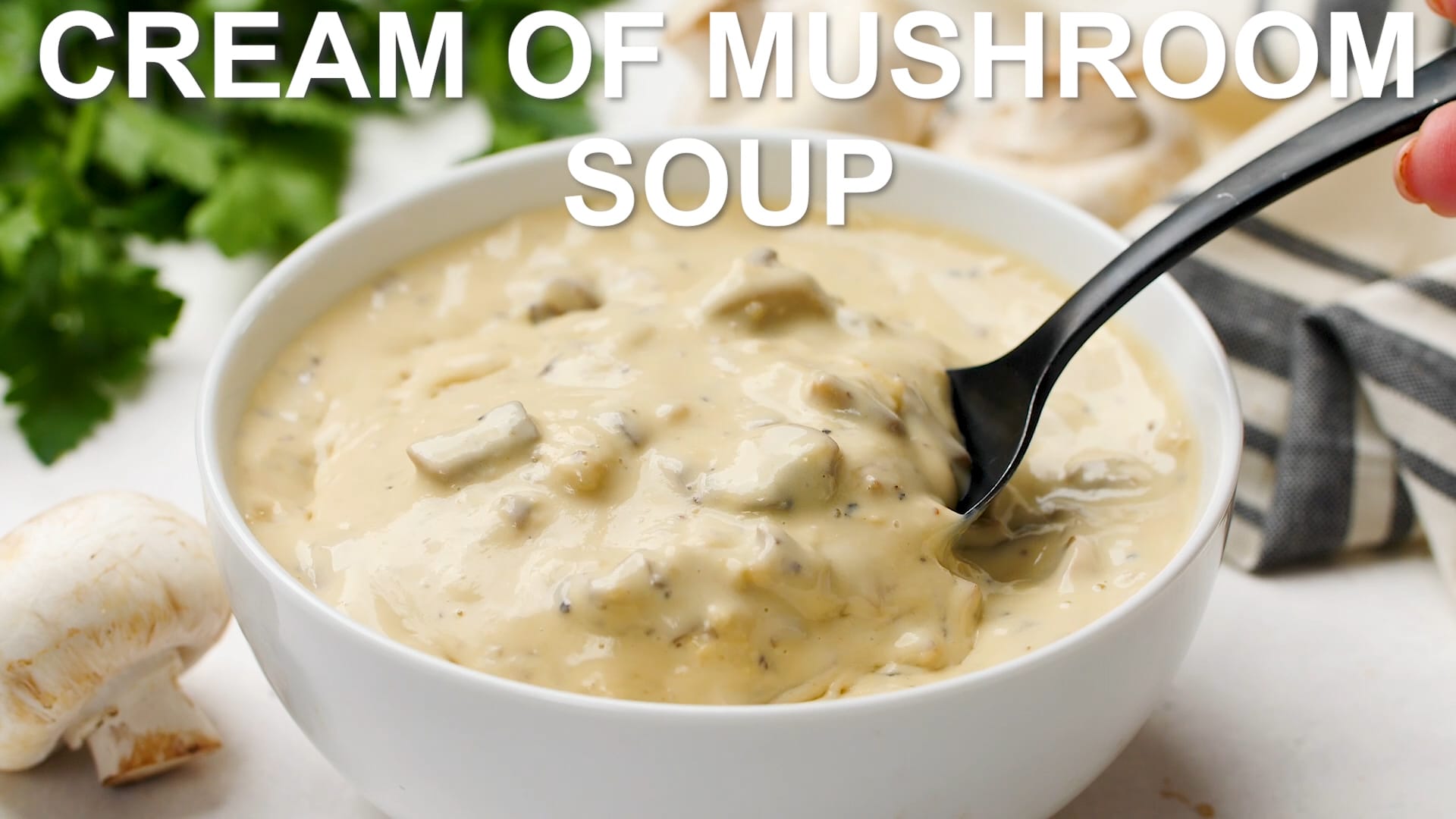   Fresh, Condensed Cream of Mushroom Soup, 10.5 Oz  (Previously Happy Belly, Packaging May Vary) : Grocery & Gourmet Food