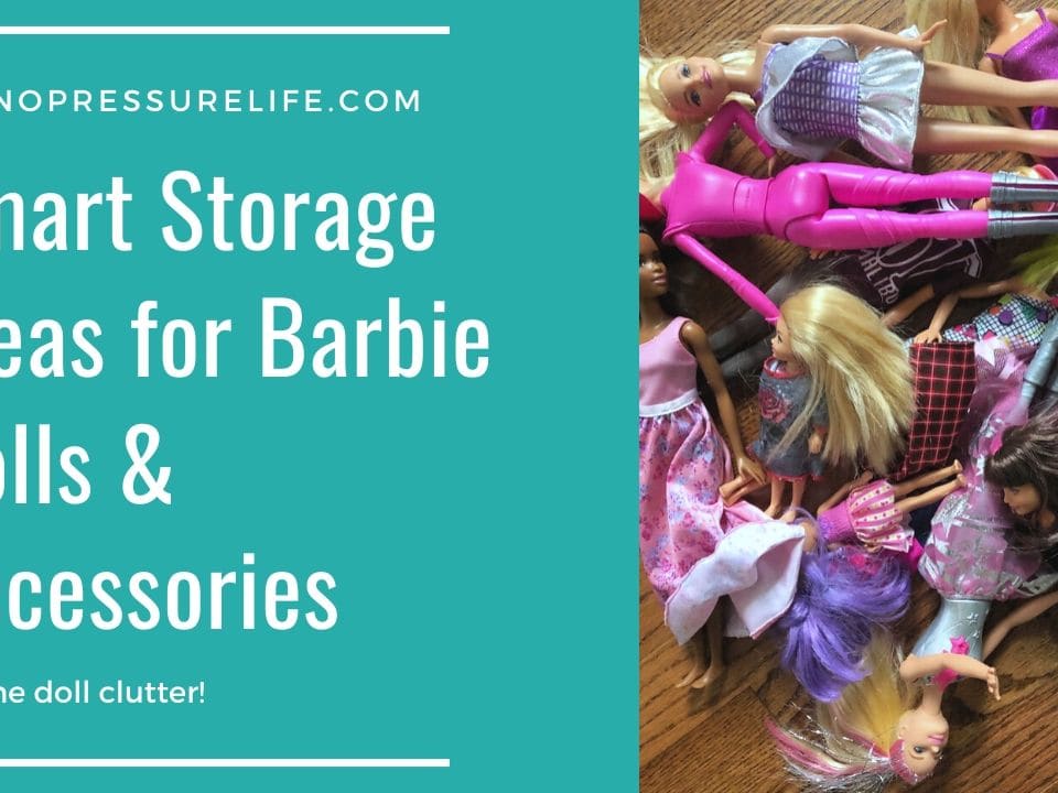ORGANIZE YOUR BARBIES WITH ONE TRIP TO THE DOLLAR STORE Organization Mad in  Crafts