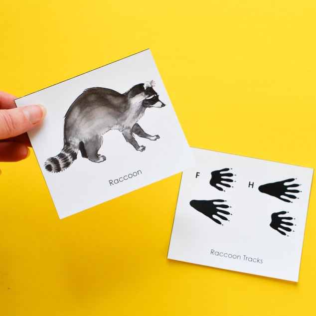 Animal Tracks: Printable Nature Game for Kids