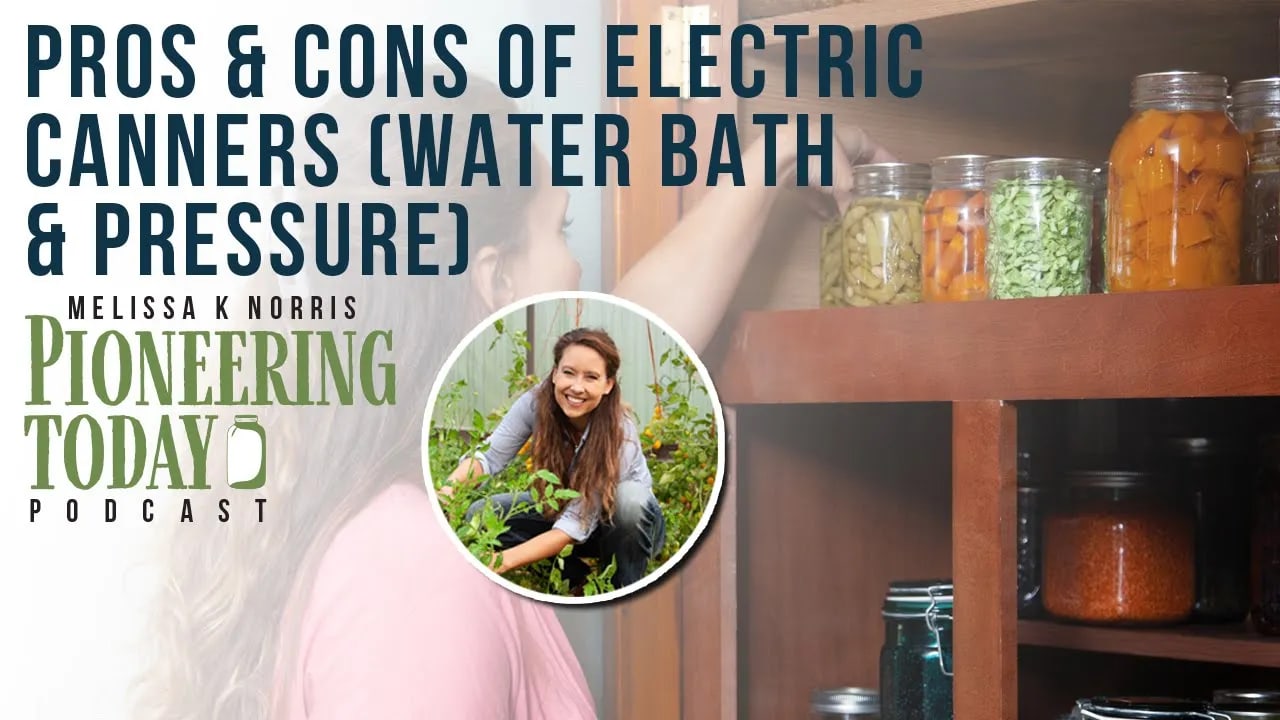 Pros & Cons of Electric Pressure Canners (+Water Bath) - Melissa K. Norris