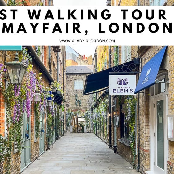 The walking new arrivals company mayfair