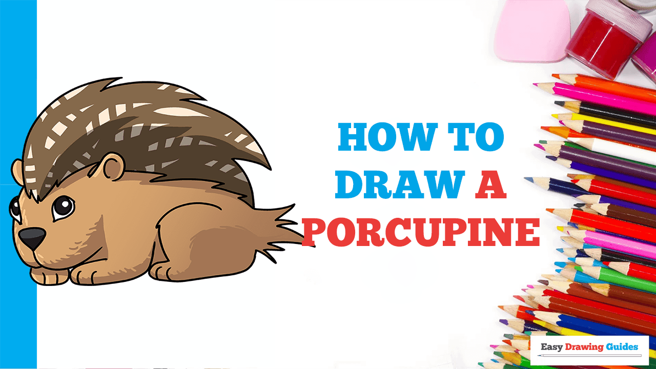 How to Draw a Porcupine - Really Easy Drawing Tutorial