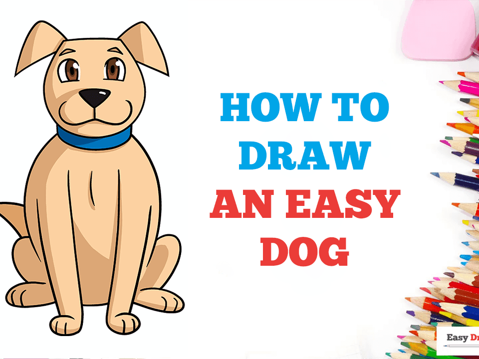 How to Draw a Dog in 4 easy steps! - Smiling Colors