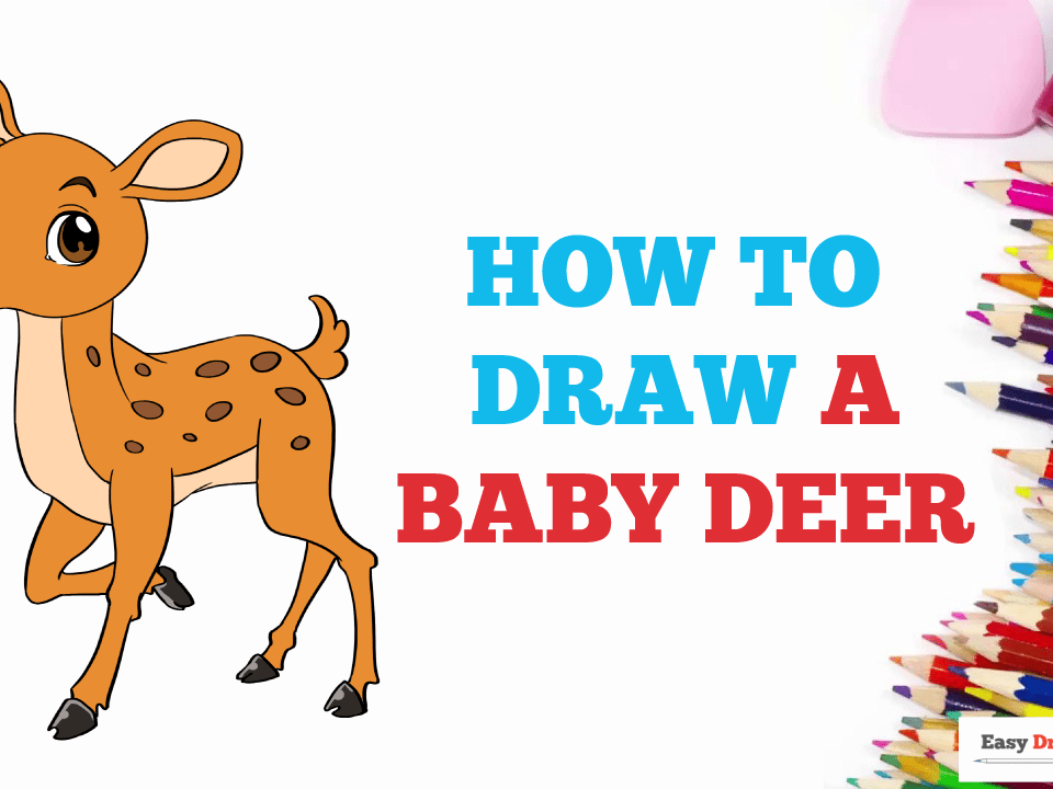 How to Draw a Baby Deer - Really Easy Drawing Tutorial