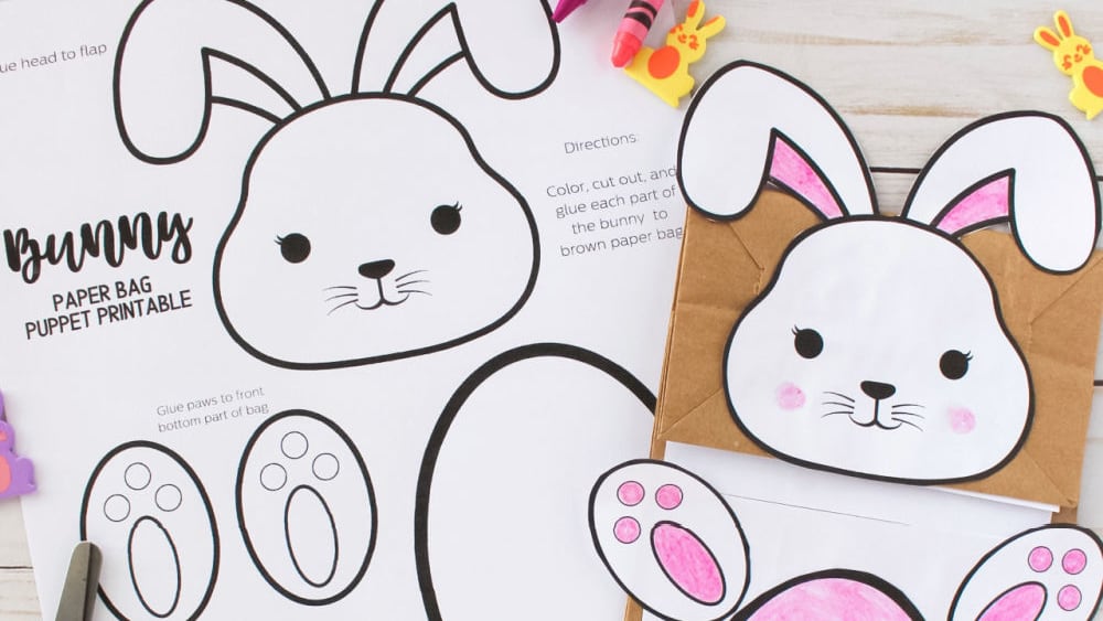 Bunny rabbit 2025 bag