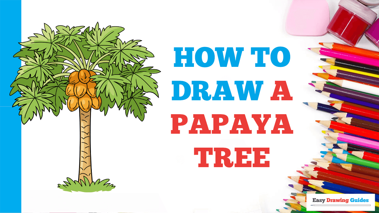 papaya tree drawing for kids