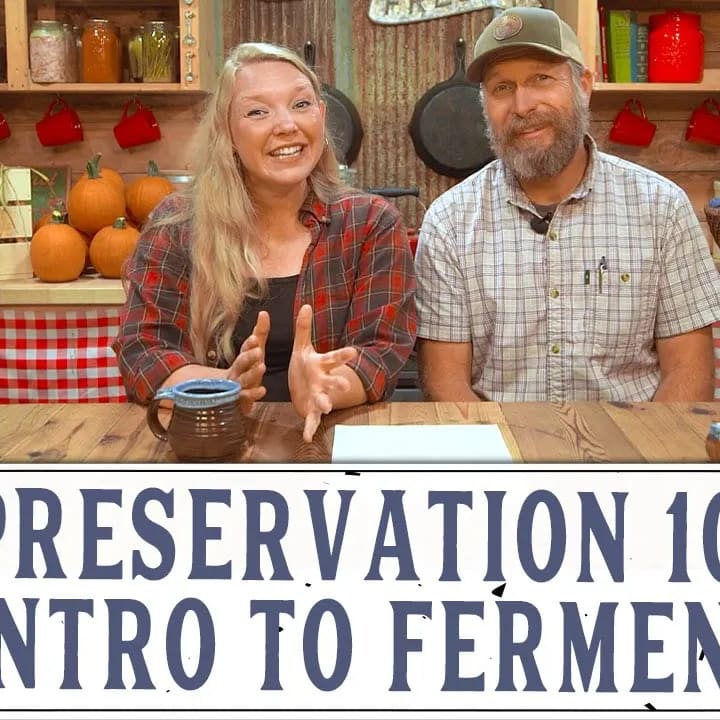 Fermentation for Long-Term Preservation — Homesteading Family