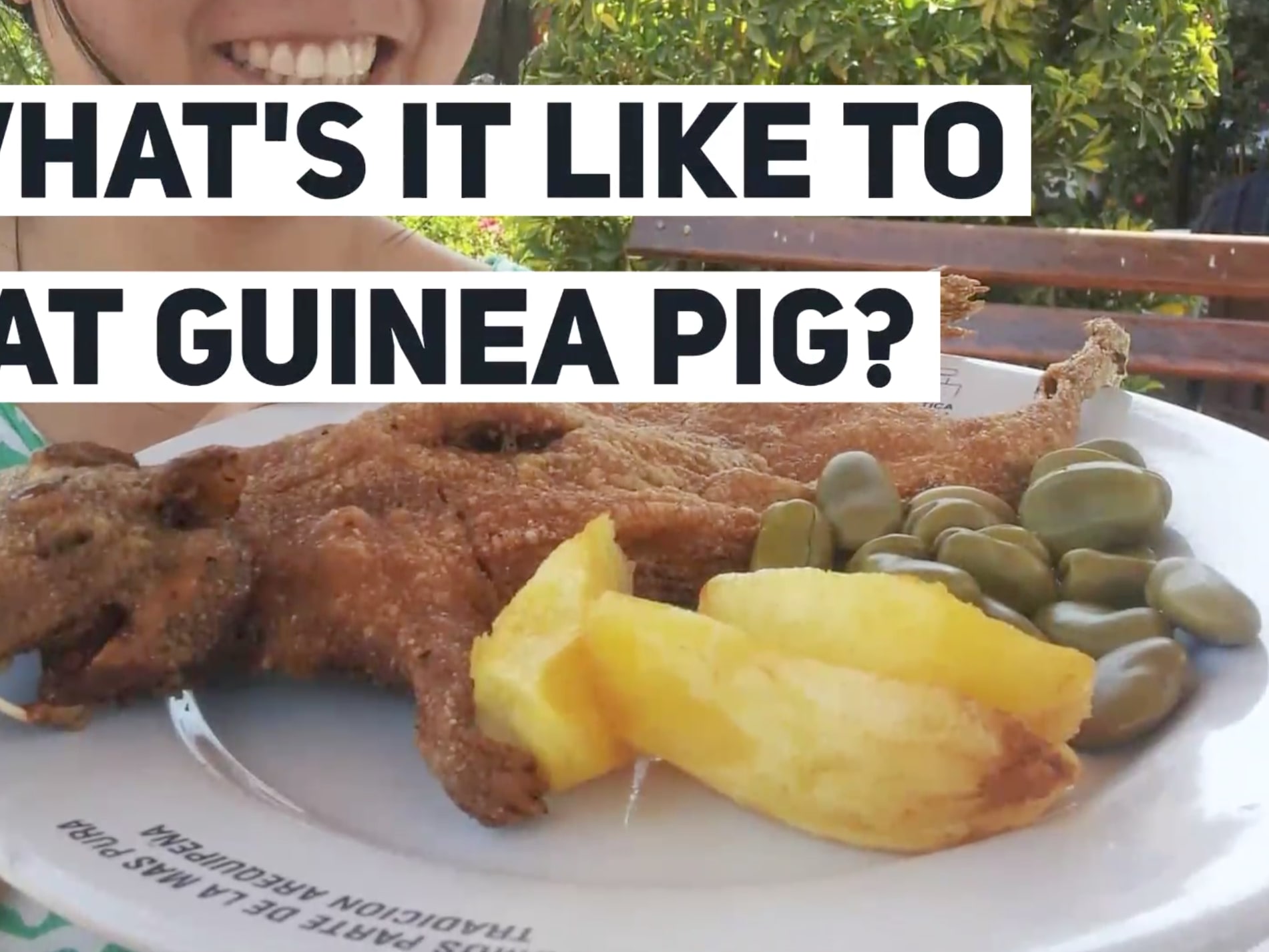 Can you eat guinea pigs online