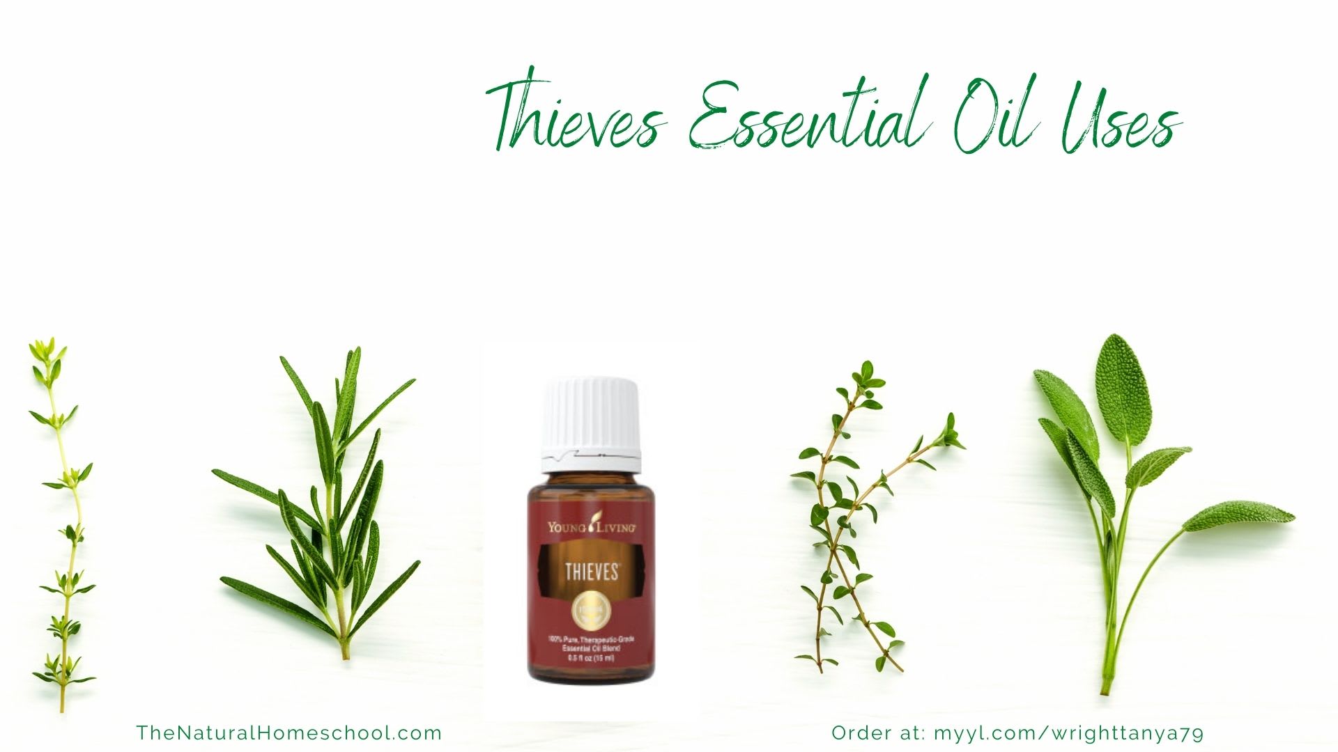 Uses for Thieves Young Living Essential Oil - My Boys and Their Toys