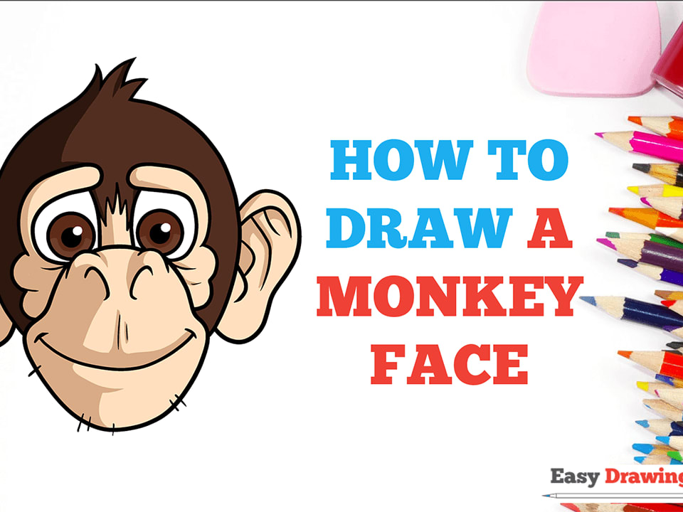 Hand drawn sketch style illustration of monkey  Stock Illustration  82398954  PIXTA