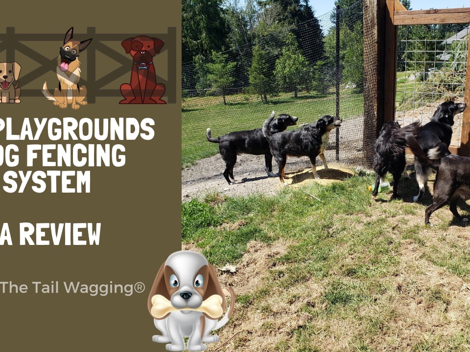 PetPlaygrounds Dog Fencing System Review