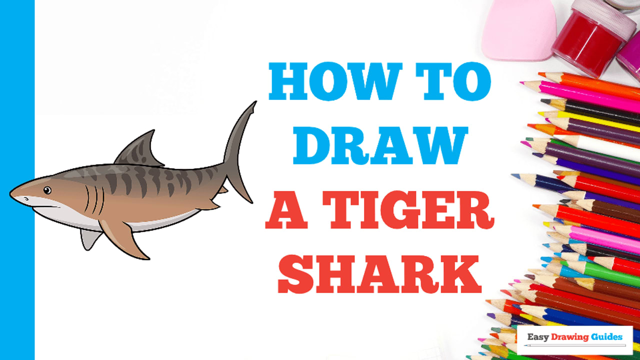Cartoon Orange Tiger Shark With Stripes Stock Illustration - Download Image  Now - Tiger Shark, Animal, Animal Wildlife - iStock