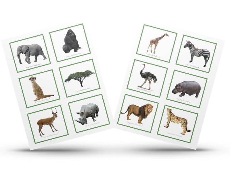Free Printable Safari Animal Matching Cards - The Purposeful Nest
