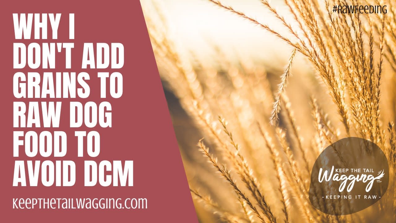 Does Raw Feeding Lead to Dilated Cardiomyopathy