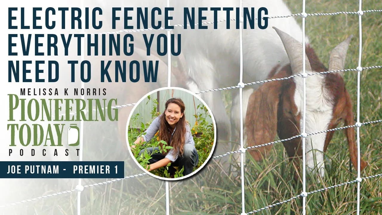 Electric Fence Netting (Everything You Need to Know) - Melissa K
