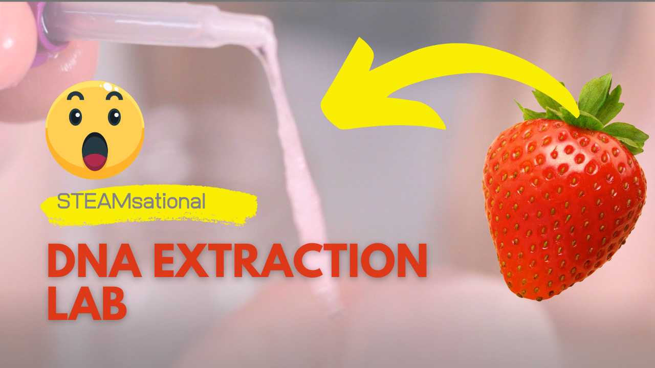 DNA Extraction Lab