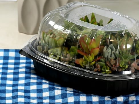 How To Re-purpose A Food Container As A Mini Greenhouse Kids