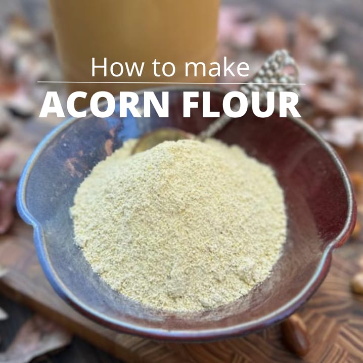 How to Make Acorn Flour (Cold Leached) - Forager