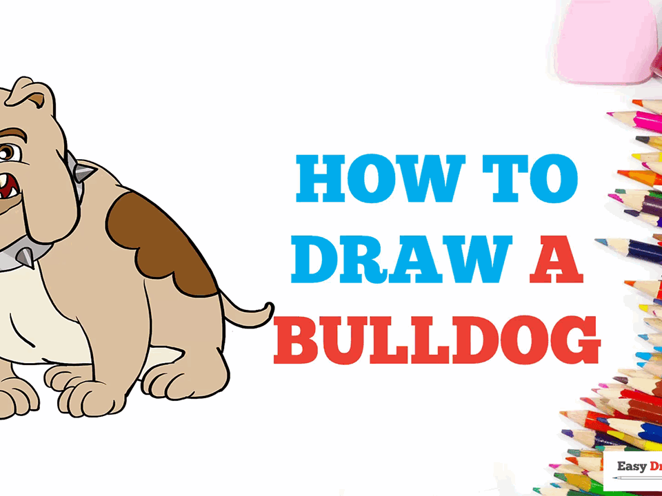 How to Draw a Cartoon Bulldog | Free Printable Puzzle Games