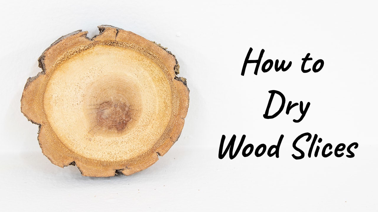 Natural Branch Coasters: How to Cut, Sand, and Seal Wood Slices