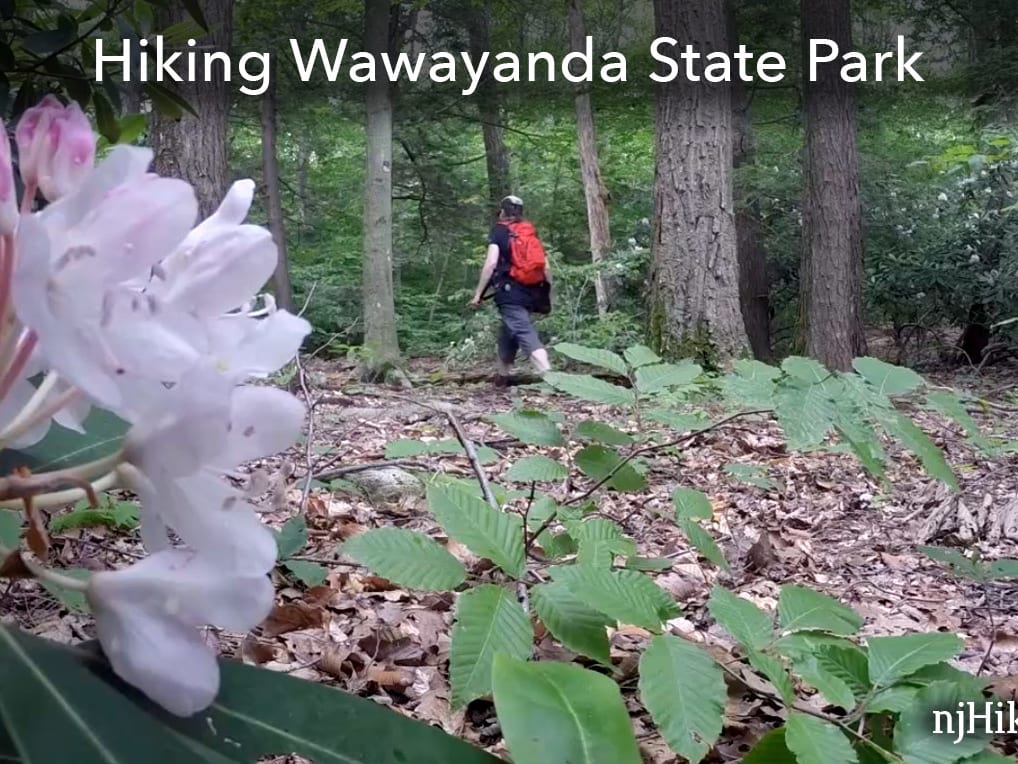 Wawayanda State Park