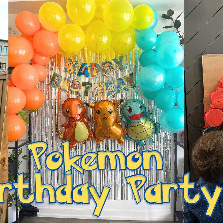 Red and White Pinata game pokeball Pokemon go party fun theme